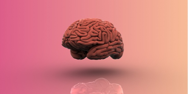 A 3D picture of a brain on a pink background